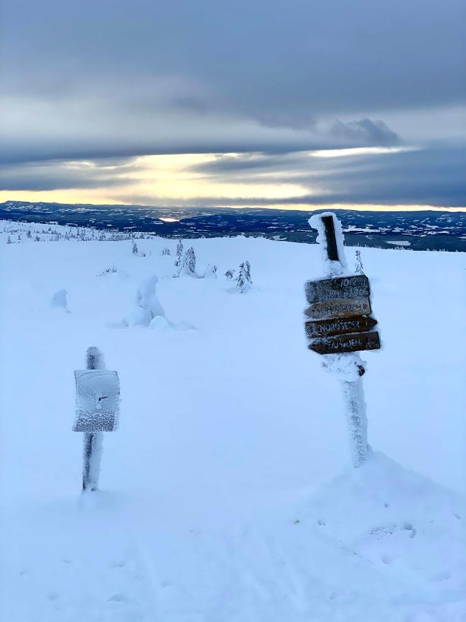Lys Og Moderne Leilighet Rett Ved Skiloypa Pa Nordseter - Kort Vei Til Sjusjoen, Lillehammer Og Hafjell - Dyr Ikke Tillatt Esterno foto