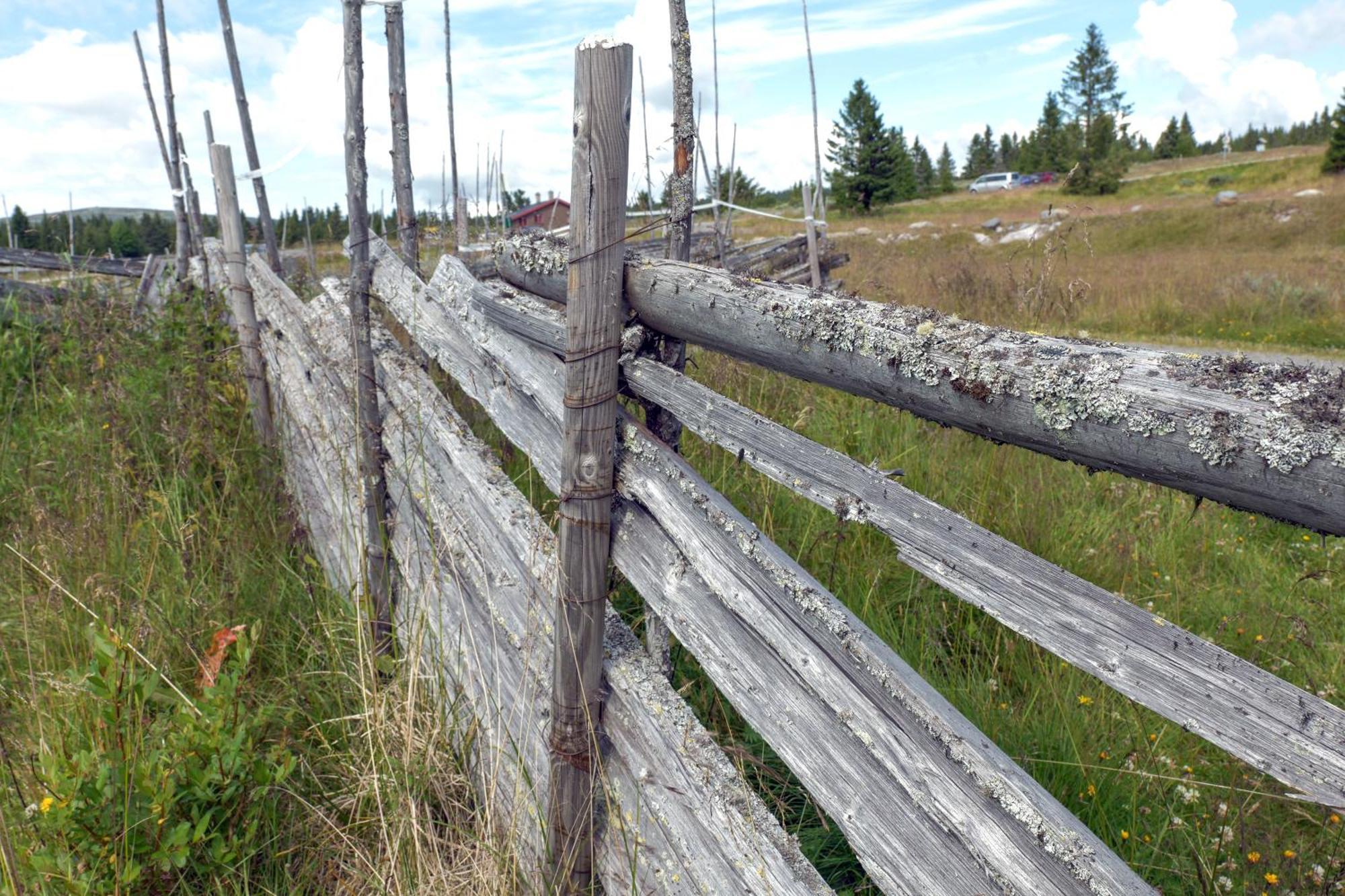 Lys Og Moderne Leilighet Rett Ved Skiloypa Pa Nordseter - Kort Vei Til Sjusjoen, Lillehammer Og Hafjell - Dyr Ikke Tillatt Esterno foto